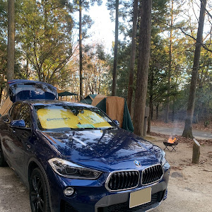 X2 xDrive 20i