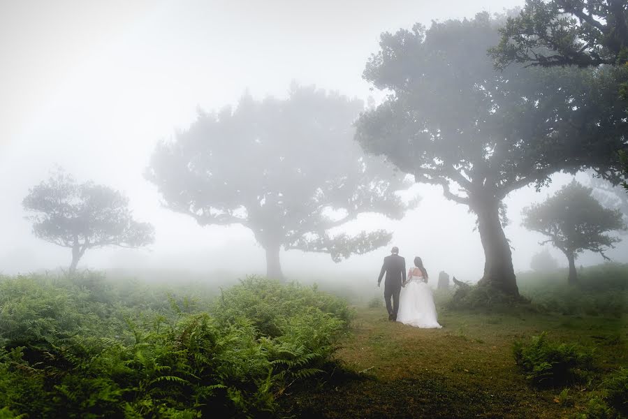 Wedding photographer Miguel Ponte (cmiguelponte). Photo of 17 January 2018