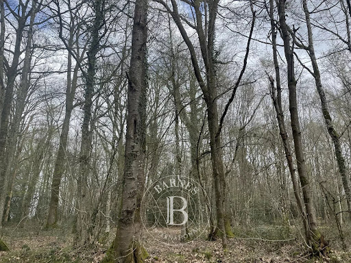 Property 5