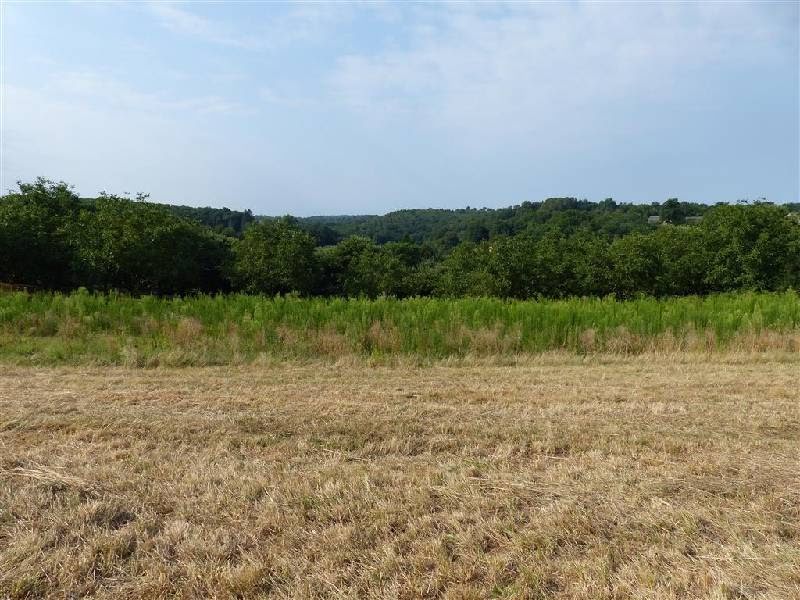 Vente terrain  4616 m² à Prats-du-Périgord (24550), 66 000 €