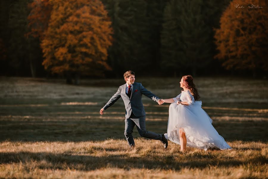 Wedding photographer Radu Stelian (emotie). Photo of 7 January 2019