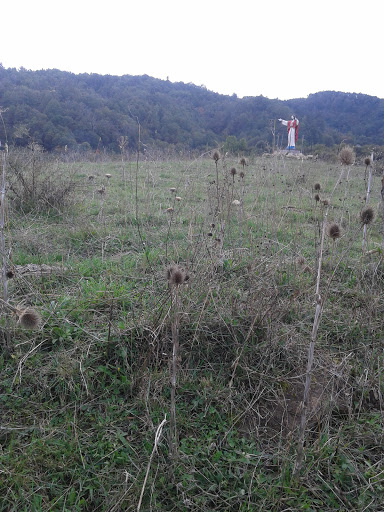 Campana (CS) - Statua di Gesù 