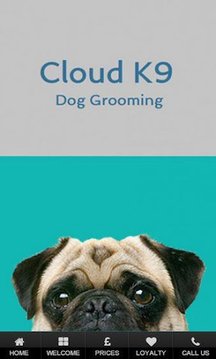 Cloud K9 Dog Grooming