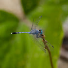 Ground Skimmer