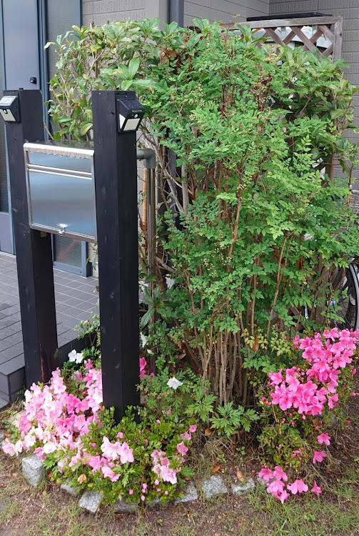 フィットのガソリン満タン・ガーデニングDIY🌺・梅雨入りに関するカスタム事例の投稿画像7枚目
