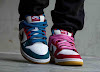 parra x nike sb dunk low pro