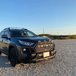 RAV4 MXAA54