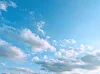 ユーザー