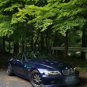 Z3