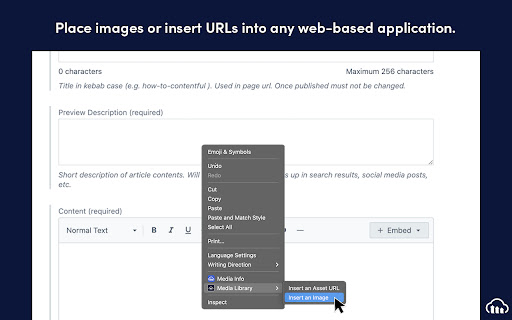 Cloudinary Media Library