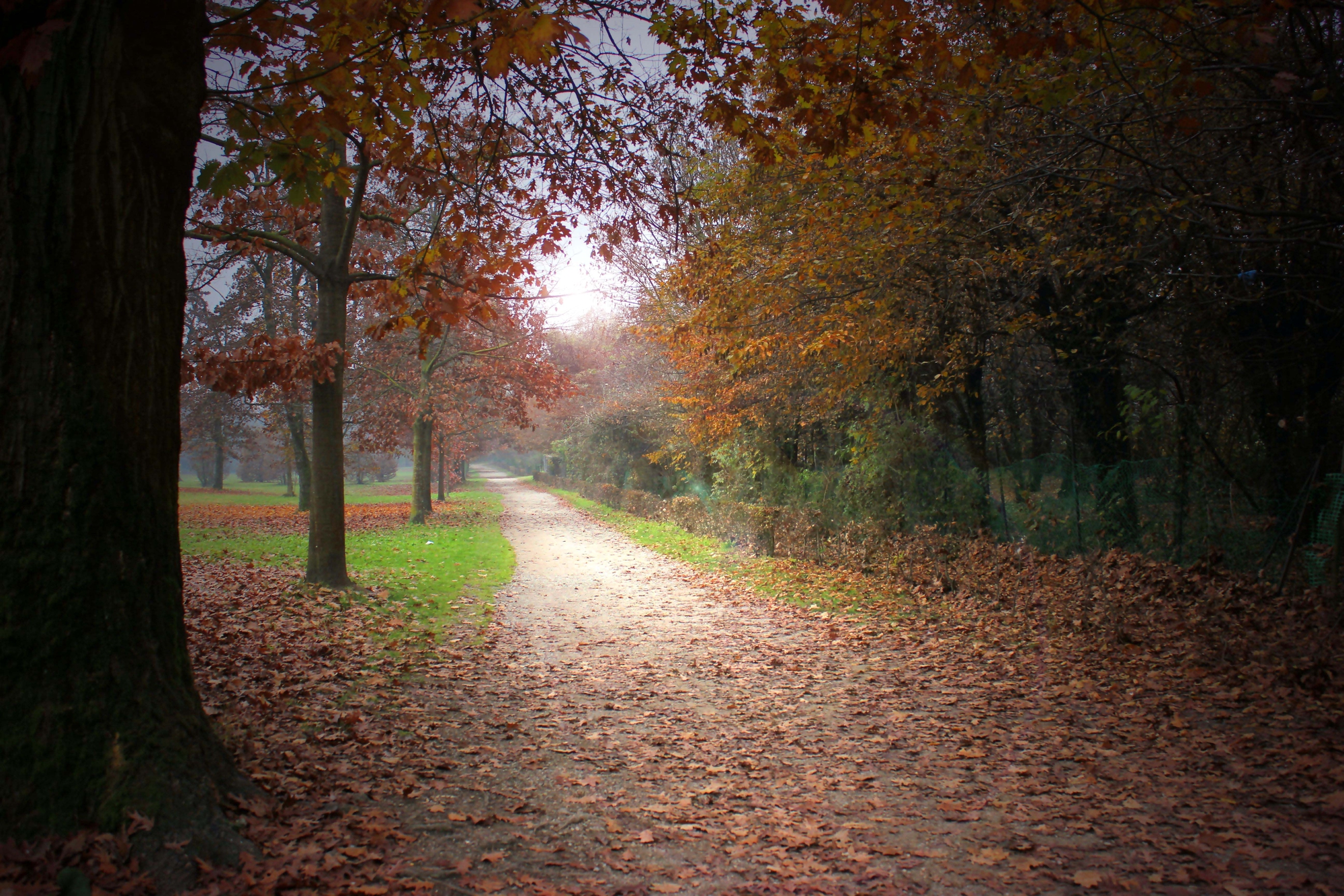 In autunno di gfg