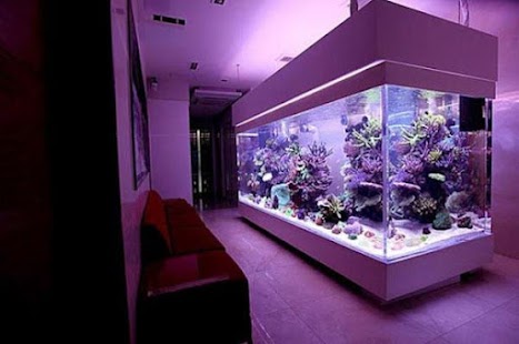 How to download Aquarium design patch 1.4 apk for android
