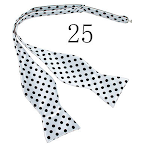 25Style