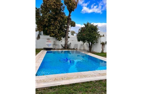 Villa purchase in Carthage Hannibal (Tunisia) - Blue outdoor swimming pool with stone patio