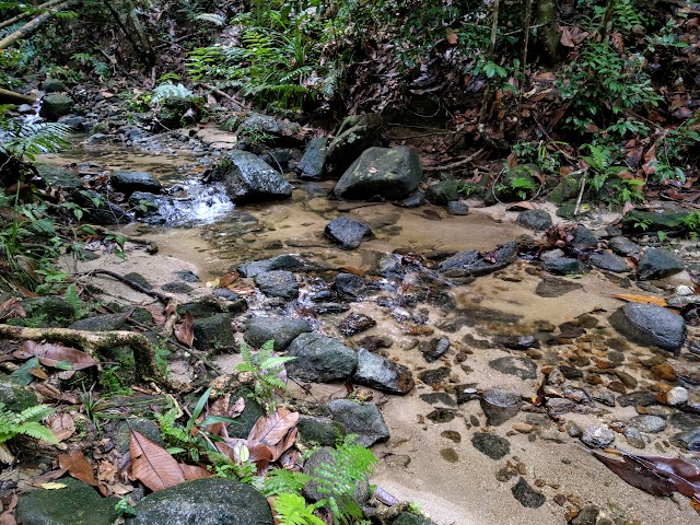 Gunung Angsi via Ulu Bendul