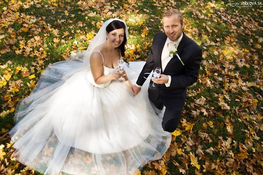 Photographe de mariage Terézia Ježková (jezkovaterezia). Photo du 16 avril 2019