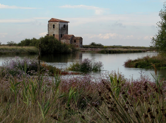 La palude di Giorgio Lucca