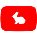 YouTube Rabbit Hole