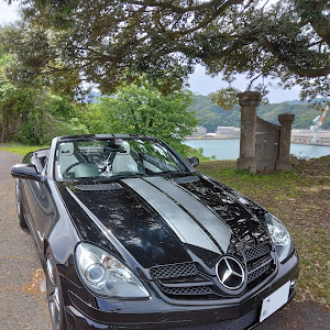 SLK R171