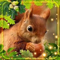 Squirrel Forest Live Wallpaper