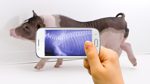 免費下載娛樂APP|动物扫描仪-宠物X光 app開箱文|APP開箱王
