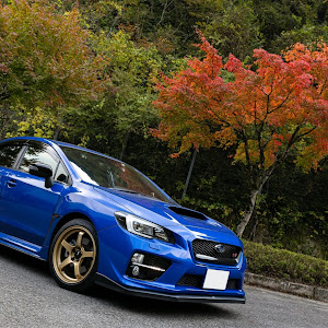 WRX S4 VAG