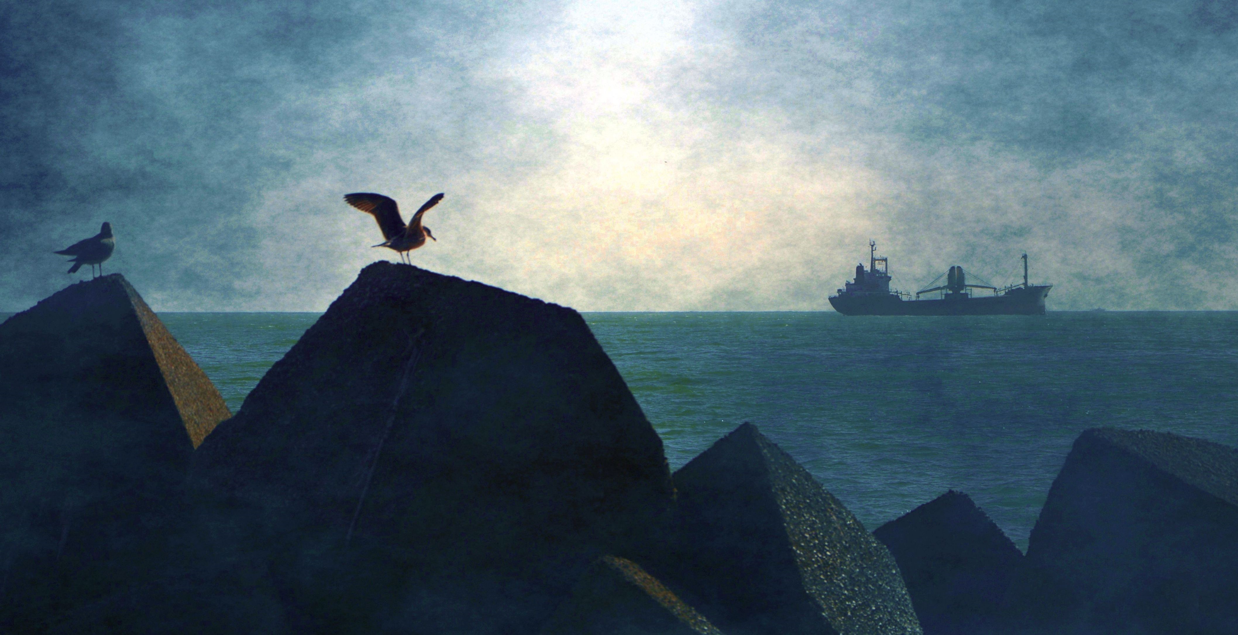 "Partire è un po' morire". di francesco_abate