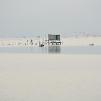 In mezzo all'acqua di 