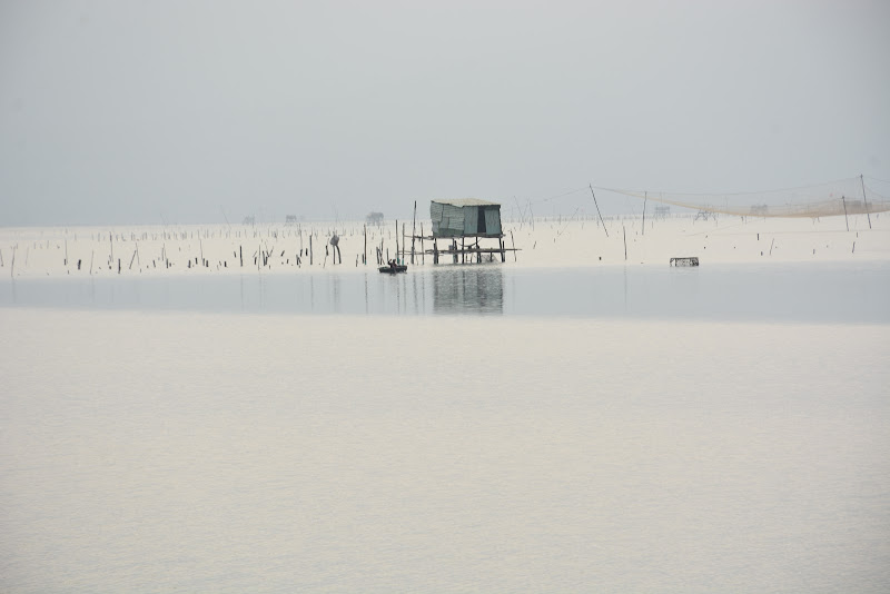 In mezzo all'acqua di MORENO ANTOGNOLI