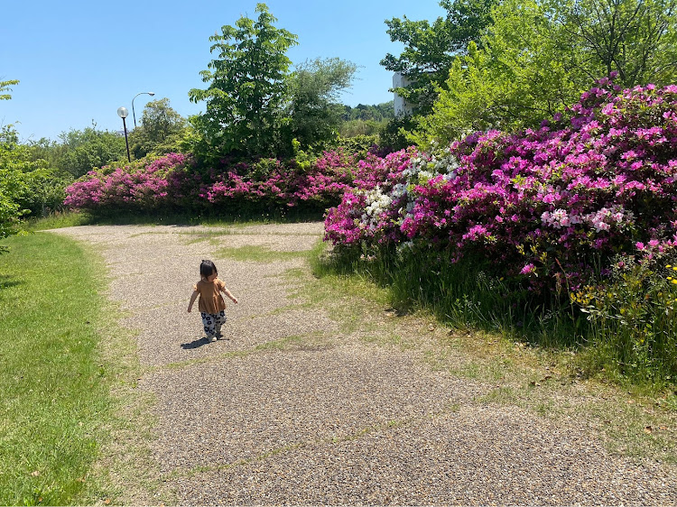 の投稿画像3枚目