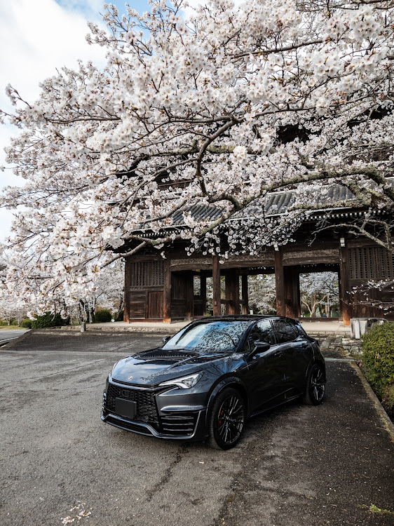 LBXのLBX MORIZO RR・愛車と桜🌸・桜ツーリング🌸・喰うTUNE・ヌルテカボディ選手権に関するカスタム事例の投稿画像2枚目