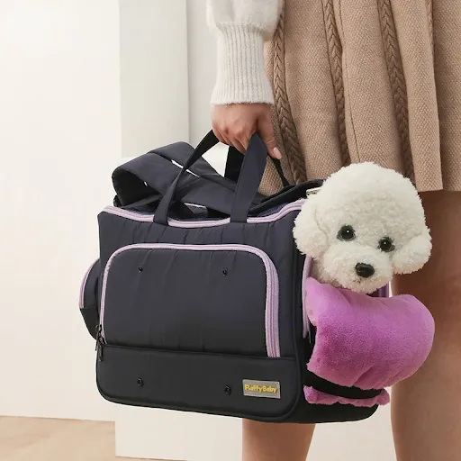 Pet Travel Summer Breathable Mesh Portable Pet Bag One Shoulder Cat Bag Pet Supplies