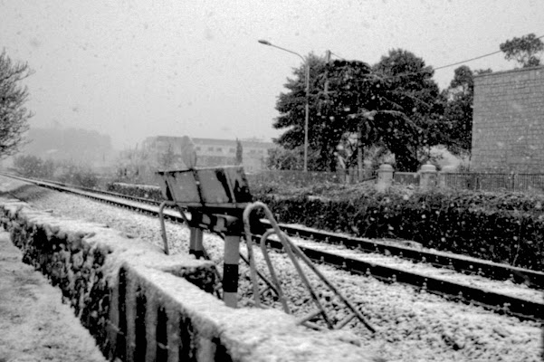 vecchio binario innevato di tiziana.scatta