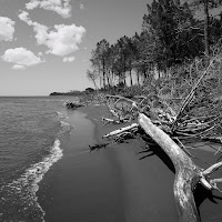 Terra incontaminata di 