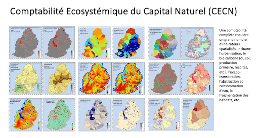 Comptabilité écosystémique à l’échelle de l’Ile Maurice, Par Xavier