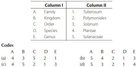 Taxonomical categories