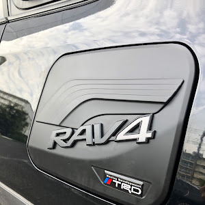 RAV4 MXAA54