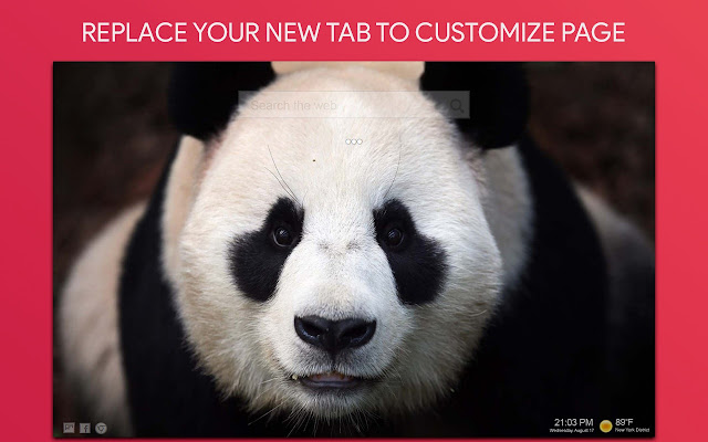 Panda Wallpaper HD Custom New Tab