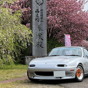 ロードスター NA6CE