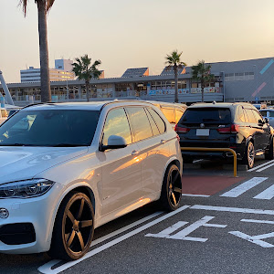 X5 F15