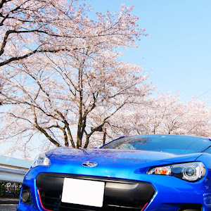 BRZ ZC6