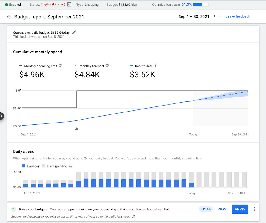 Screenshot of the new budget report