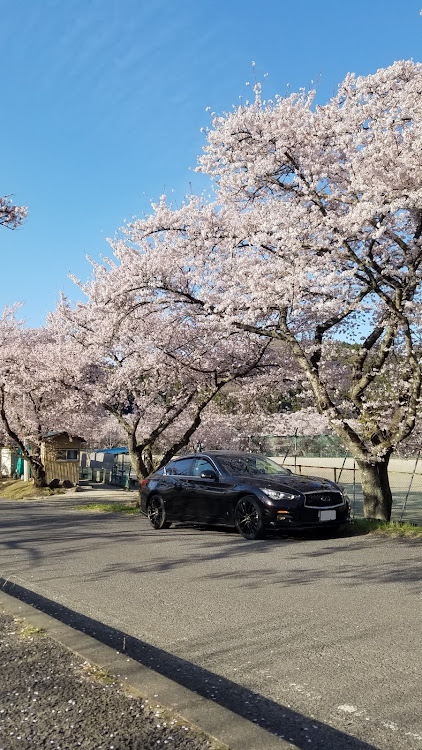 スカイラインのドライブに関するカスタム事例の投稿画像4枚目