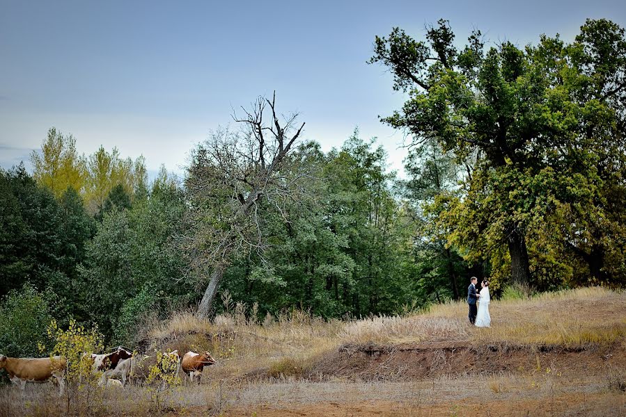 Fotografo di matrimoni Elena Raevskaya (leonflo). Foto del 9 aprile 2018