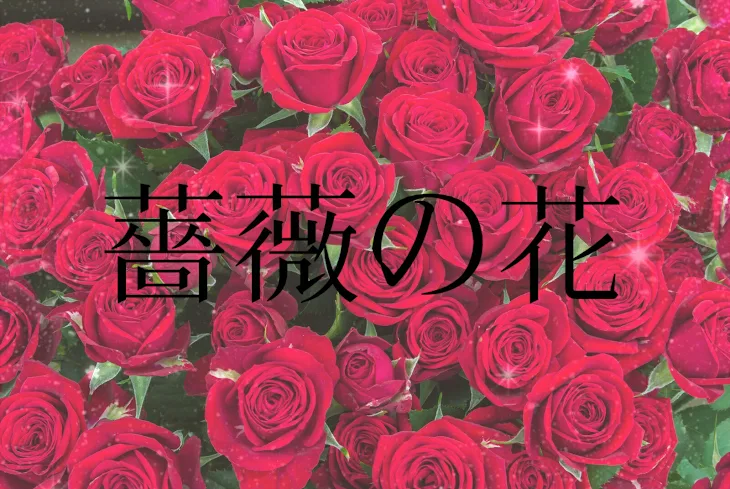 「薔薇の花」のメインビジュアル