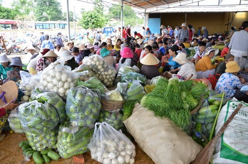 Tòa Thánh Tây Ninh rộn ràng hội Yến 3