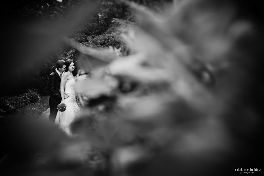 Wedding photographer Natalya Ostrekina (levashevanataly). Photo of 17 September 2013