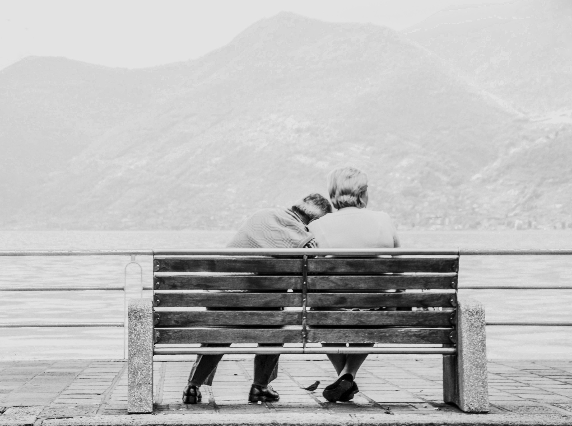 L'uccellino tra i piedi di Pietro Forti