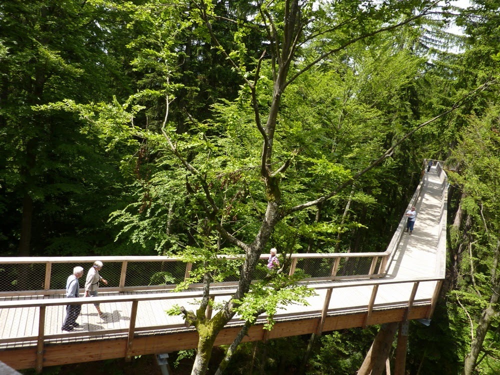 Neuschonau, a caminhada mais alta e longa em árvores do mundo