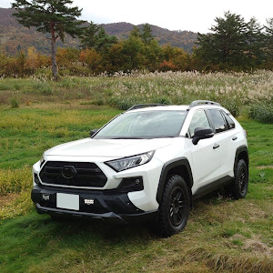 RAV4 MXAA54